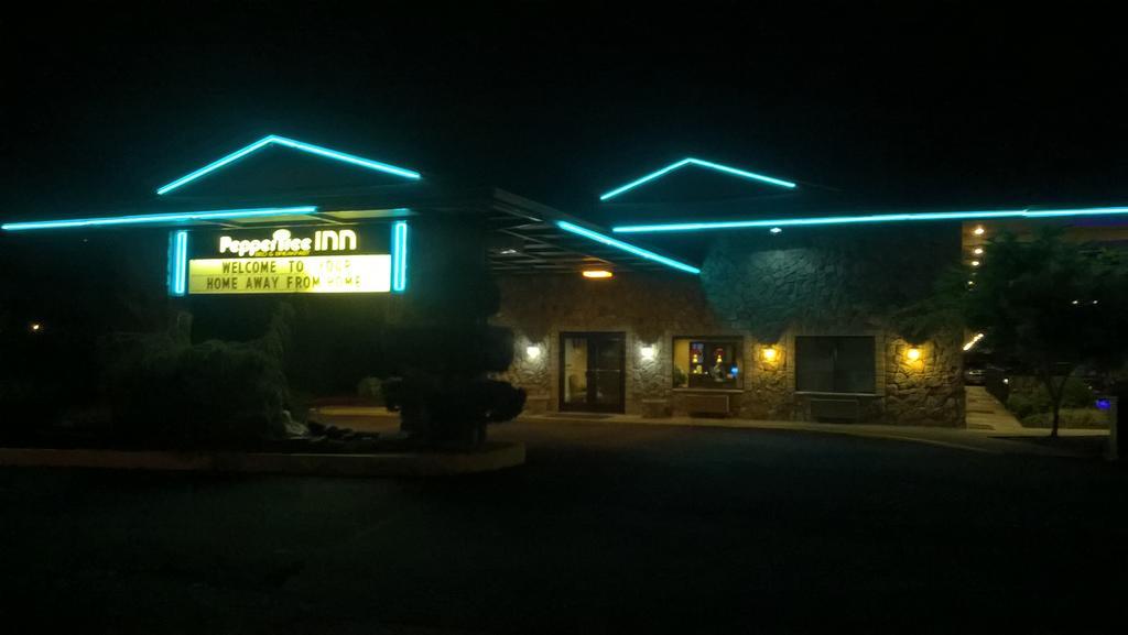 ביברטון Pepper Tree Inn מראה חיצוני תמונה