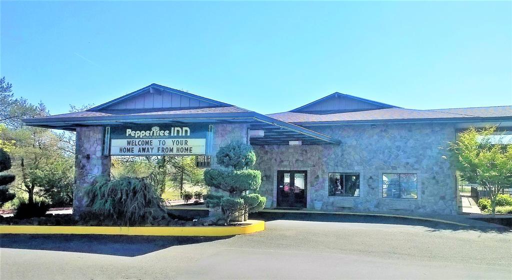 ביברטון Pepper Tree Inn מראה חיצוני תמונה