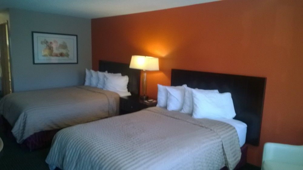 ביברטון Pepper Tree Inn מראה חיצוני תמונה