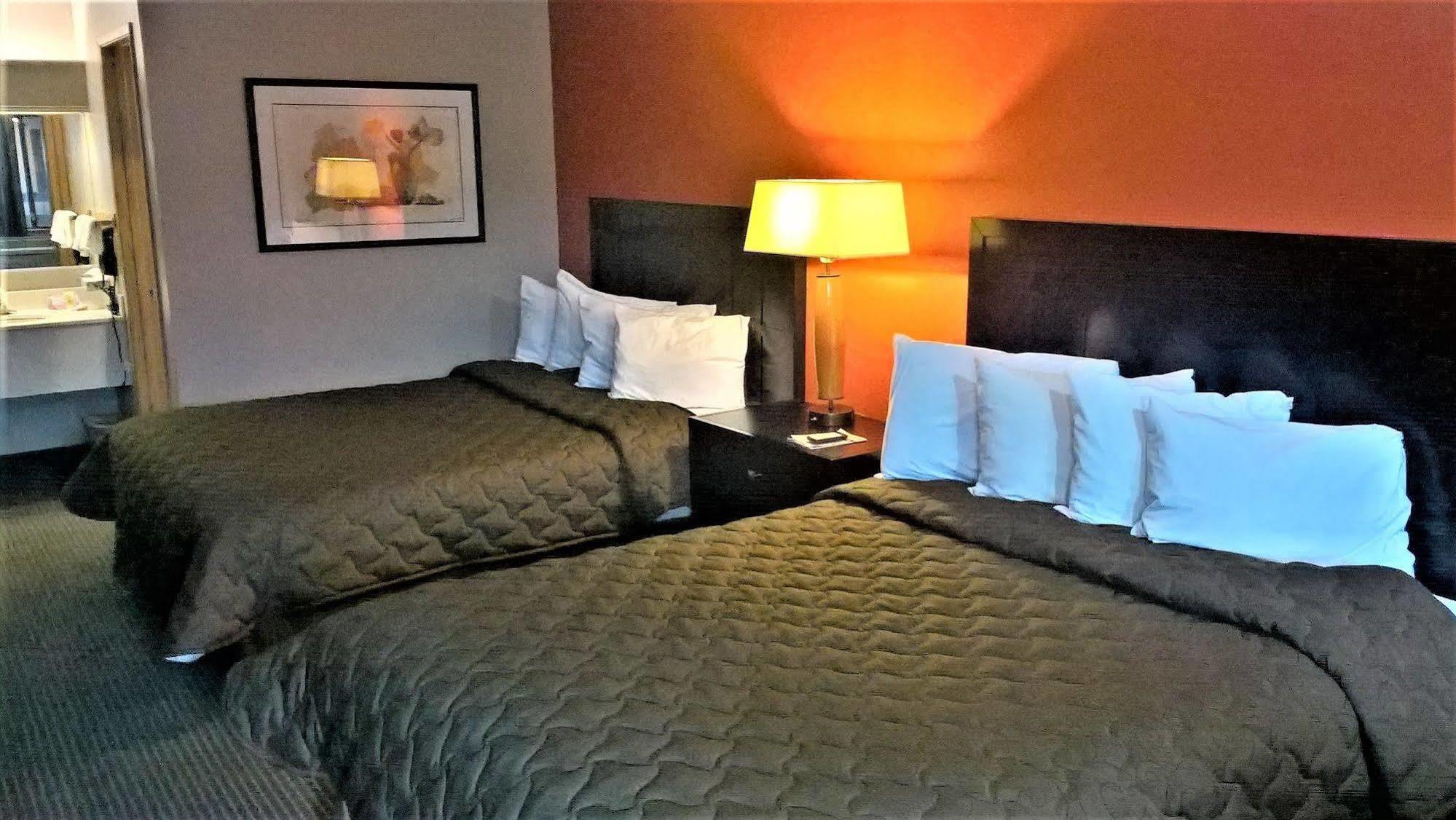 ביברטון Pepper Tree Inn מראה חיצוני תמונה